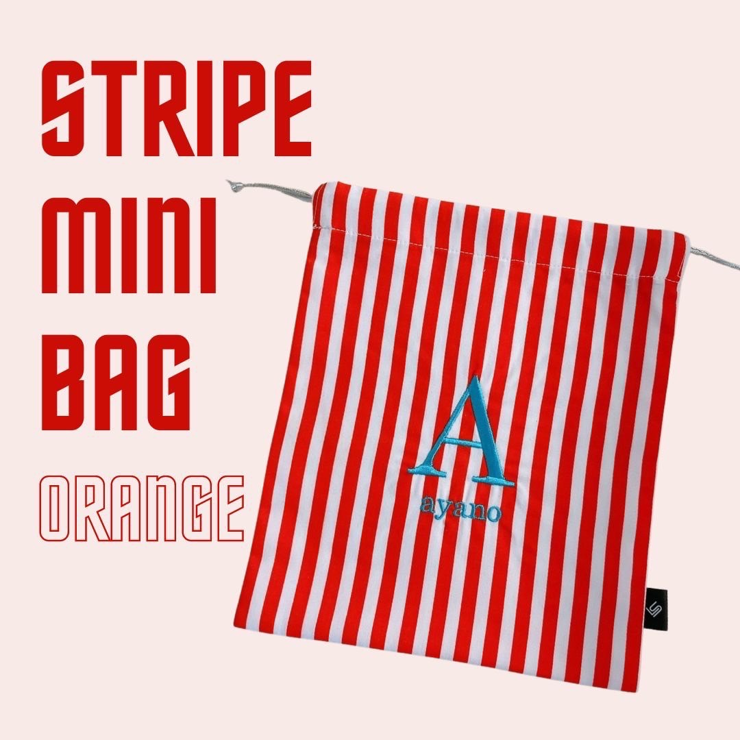 Custom Stripe mini bag